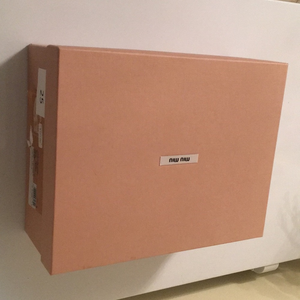 Miu Miu Shoe Box Shoe Size 39 With Dust Cover